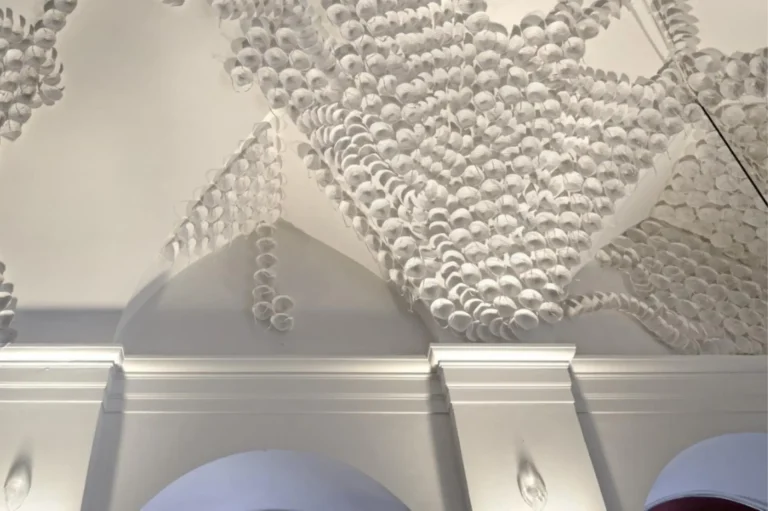 Read more about the article SINGING MASKS