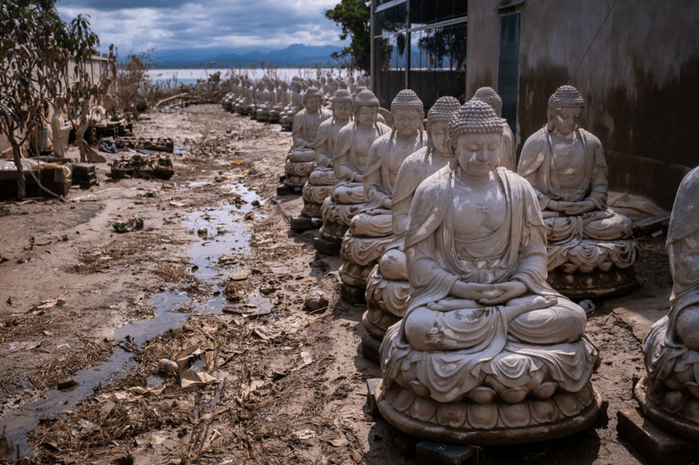 Read more about the article FRAMING THE FUTURE