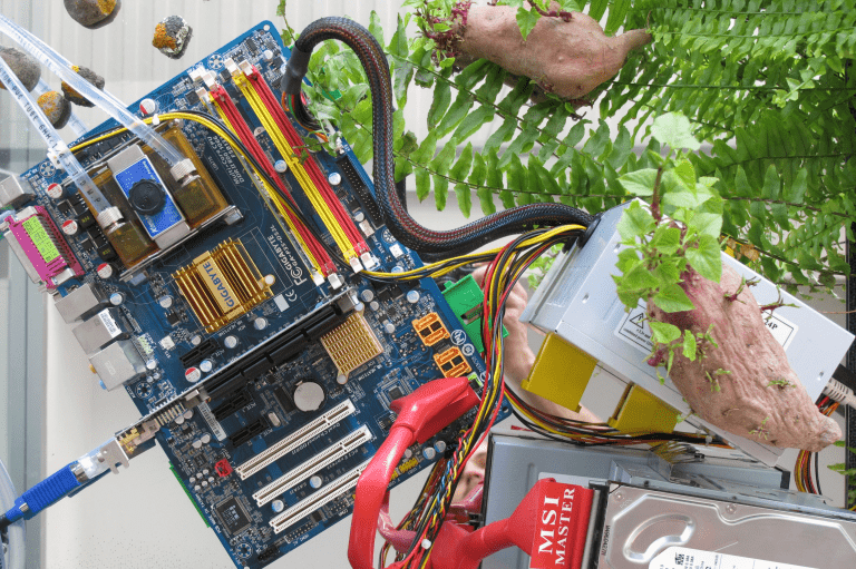 Read more about the article BREAKING BOUNDARIES