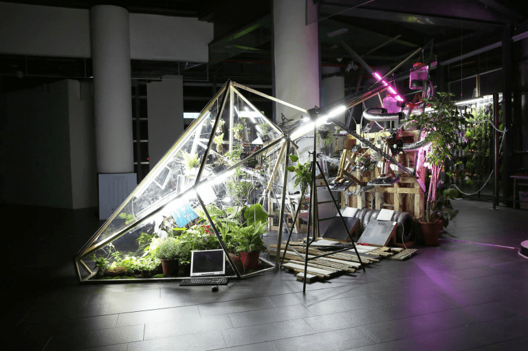 Read more about the article BIOMODD [TT015]