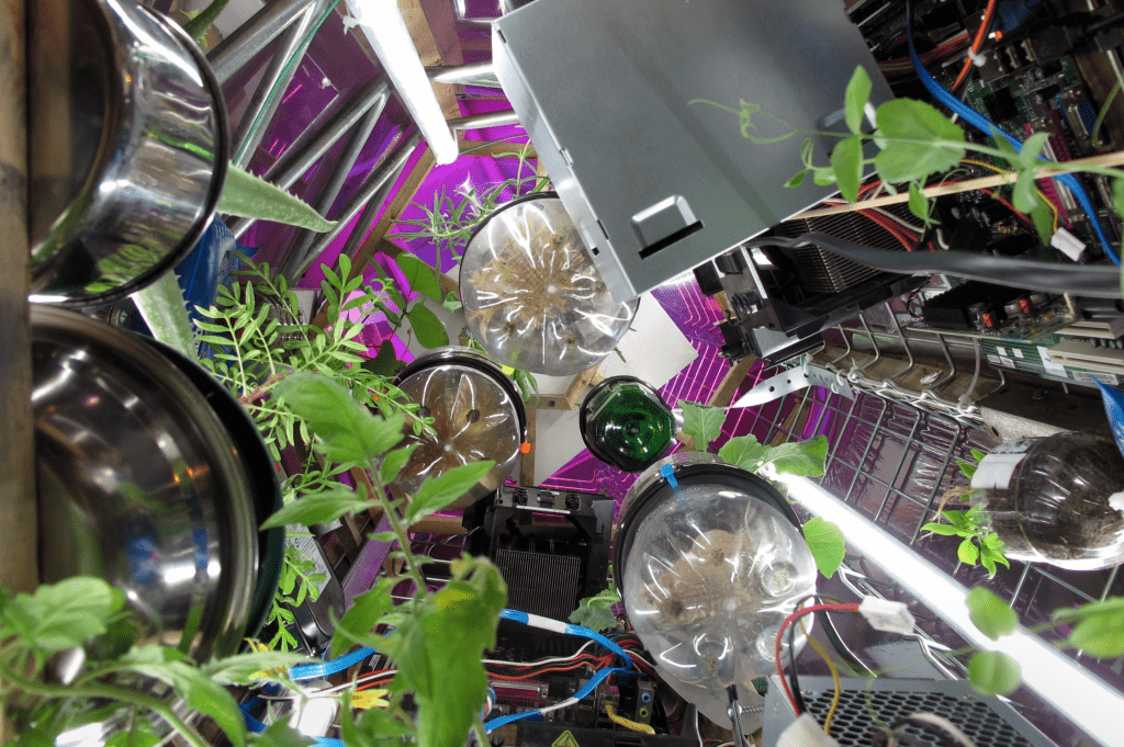 Central network interior ecosystem of Biomodd [NYC4], USA, 2013 © Angelo Vermeulen