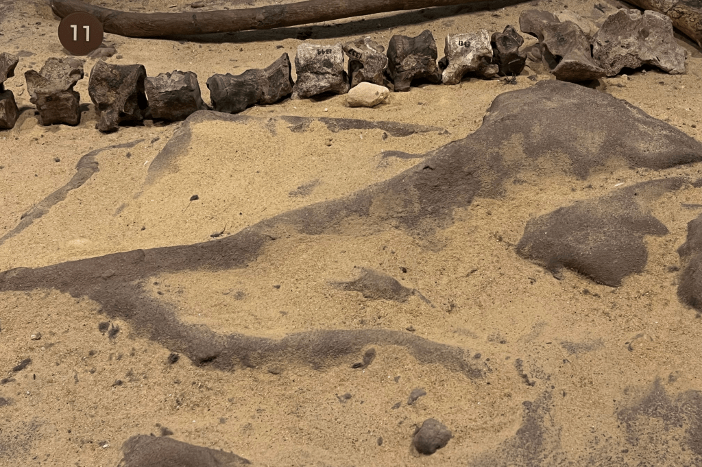 Photographing soil and stones, which inspired the duo's creative production © ashleyho+domeniknaue